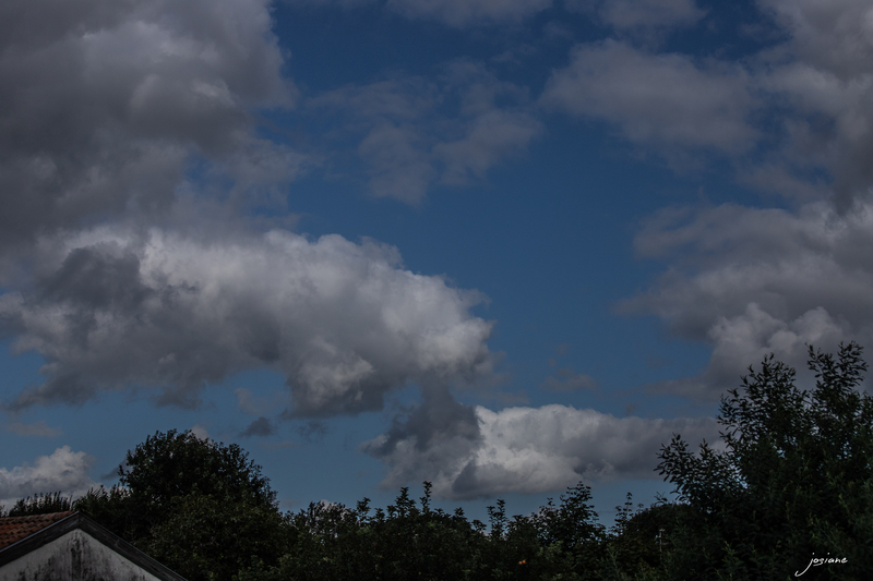 17082018-IMG_4330