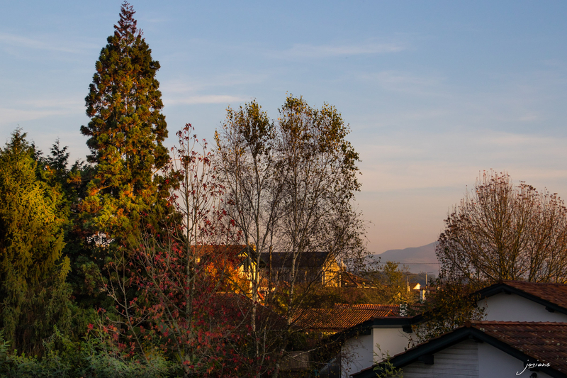 10112015-EO5A3372