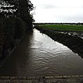 IMGP1351