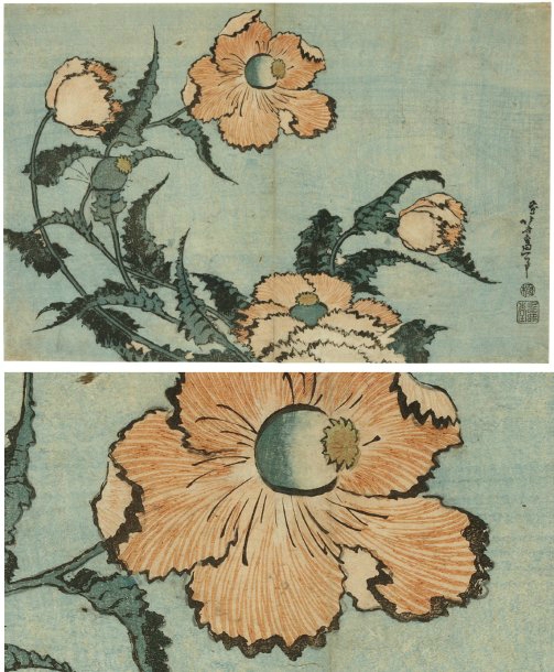 Kastushika Hokusai Pavots dans la brise