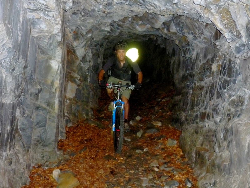 vil 2012 (130)