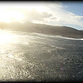 AMPLITUDE_LINE_UP__SAUVAGE_
