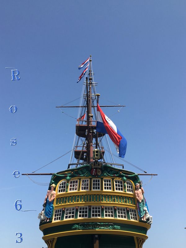 IMG_4567