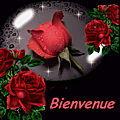 aro&