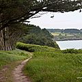DSC_8932
