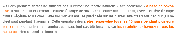 ftyreye