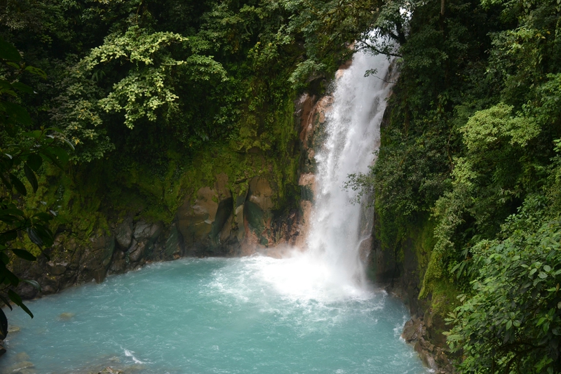DSC_0546-001