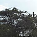 P1130741