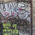 IMG_7726