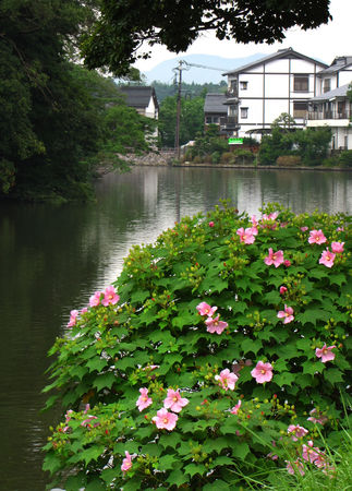 Japon_2009_916