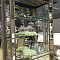 DSCF8806