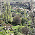 P1000654