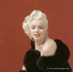 1955-02-21-Connecticut-BC-Black_Fur-011-1-Marilyn-Monroe-MHG-MMO-BCP-08