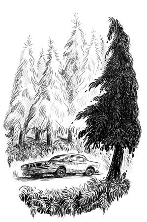 car20