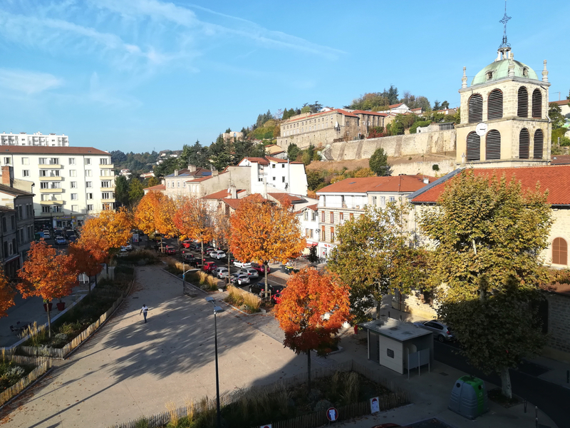 automne__19_oct_2018__2_