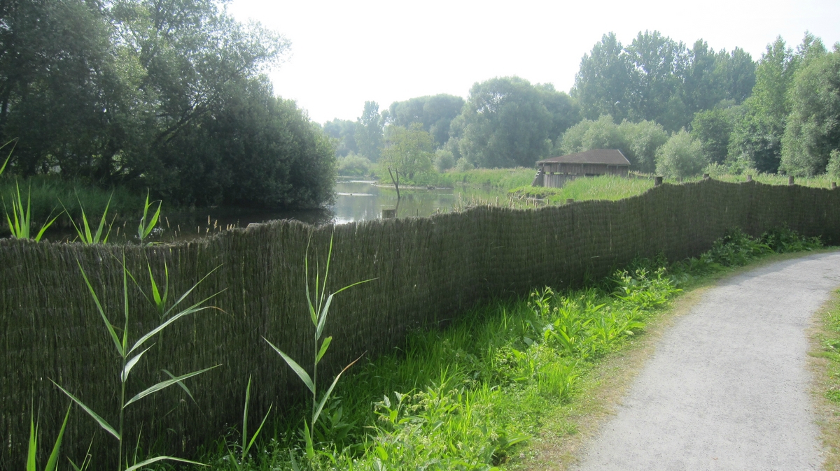 Bonnance 2013 (9)