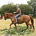 équitation de pleine nature - rallye équestre (134)