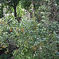 DSCN3498