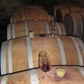 Rhône Nord-2 2006 050