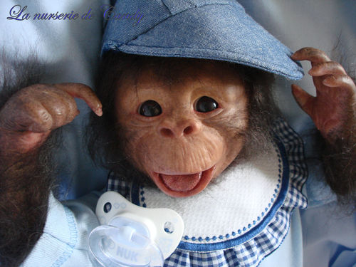 Kouky Bebe Singe Reborn N12 Photo De 043 Kouky Bebe Singe Reborn Bebe Reborn Nord Pas De Calais La Nurserie De Candy Reborning