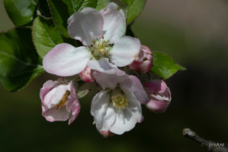 31032019-_MG_5172