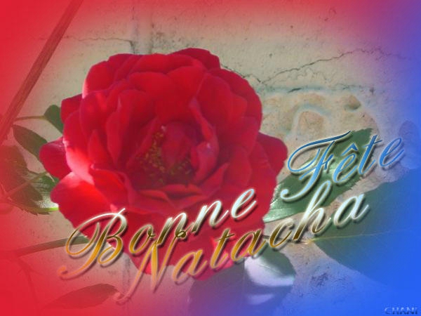 Bonne Fete Natacha Les Elucubrations De Rose De Picardie