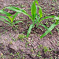 P_20201214_141803