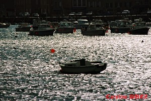 Barfleur_1020030_copie