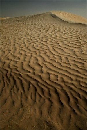 sahara_desert_sand_dune