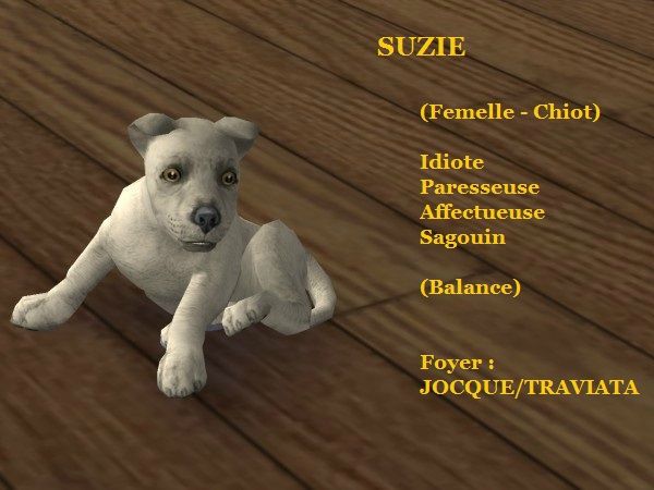 SUZIE