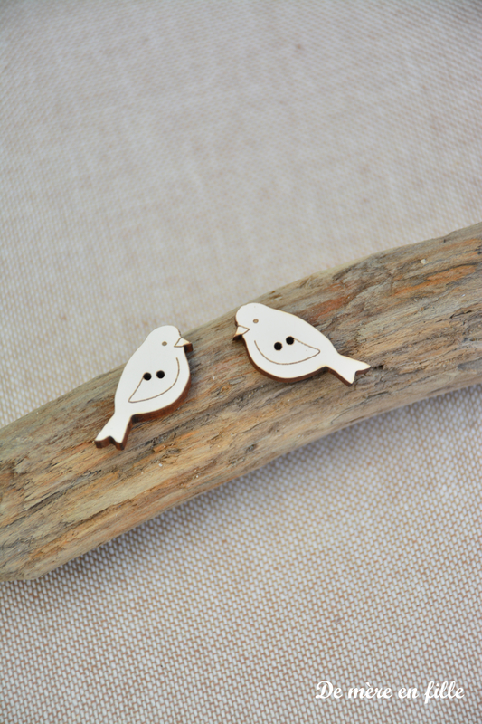 couple oiseaux sans ailes