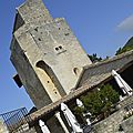 _DSC0065