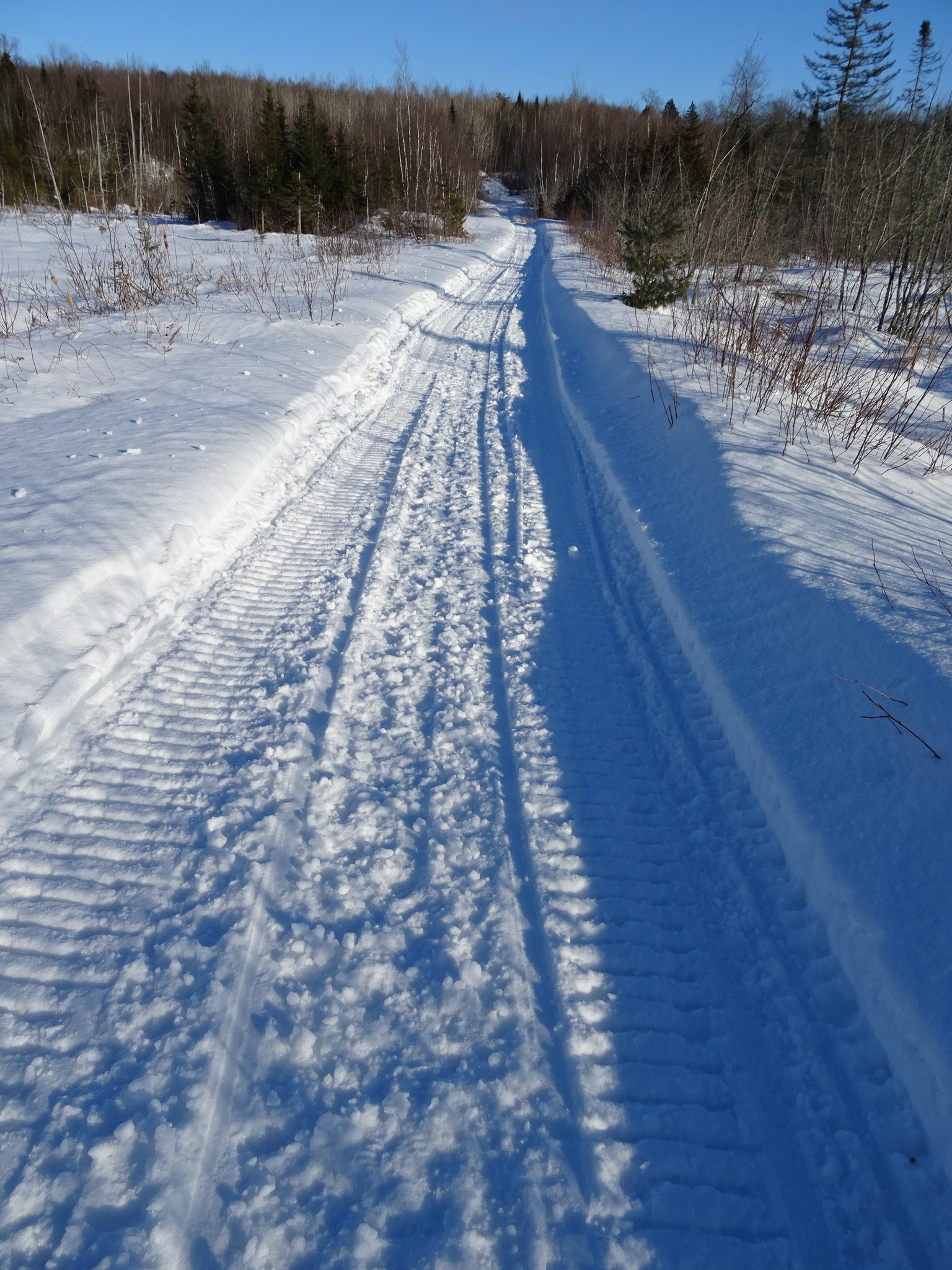 Balade à Pieds Dans Les Environs De La Pourvoirie Du Lac