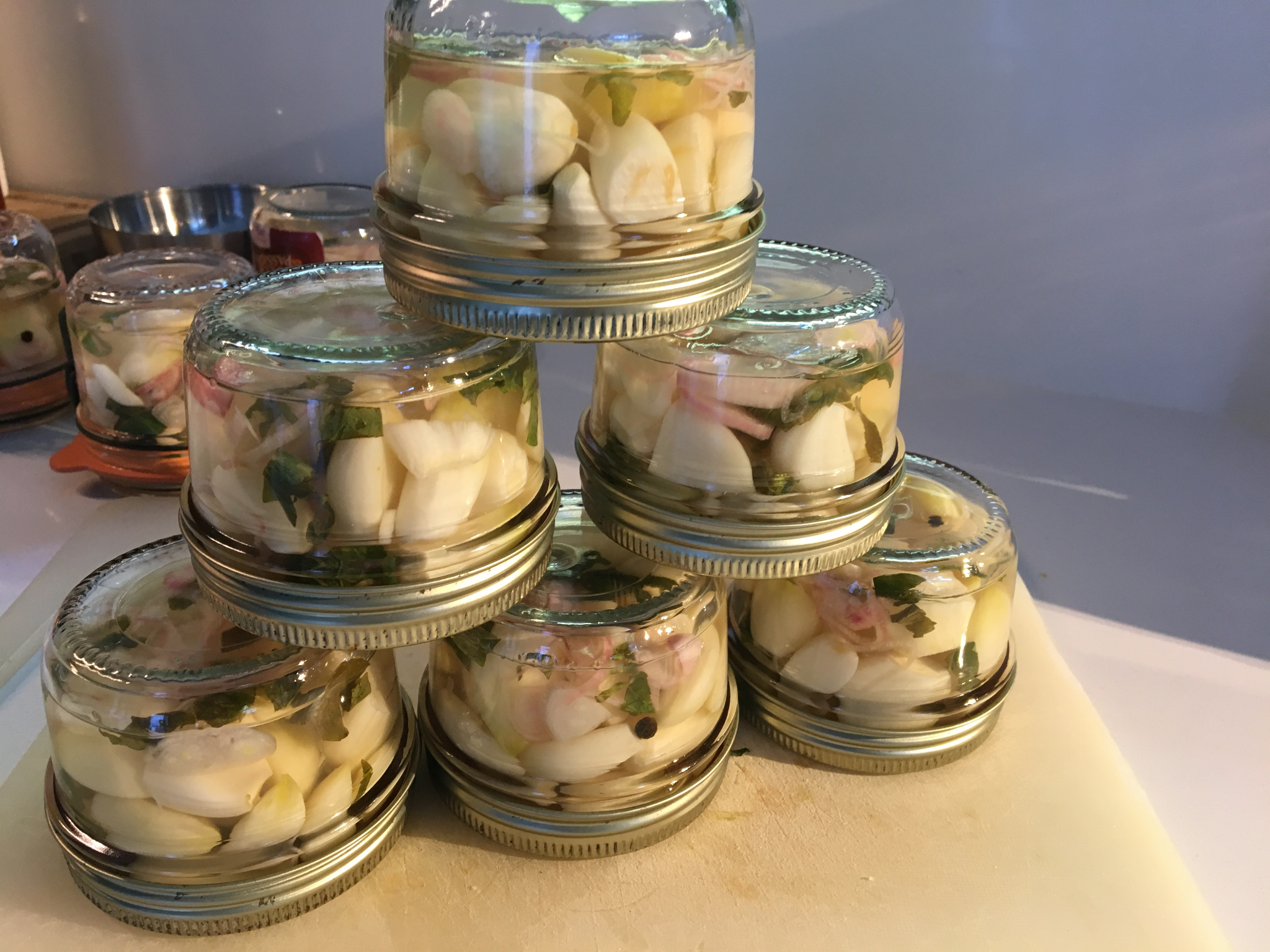 370 Ail mariné au vinaigre mes recettes à votre disposition