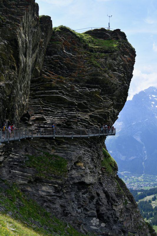 Suisse, Grindelwald First Cliff Walk_1